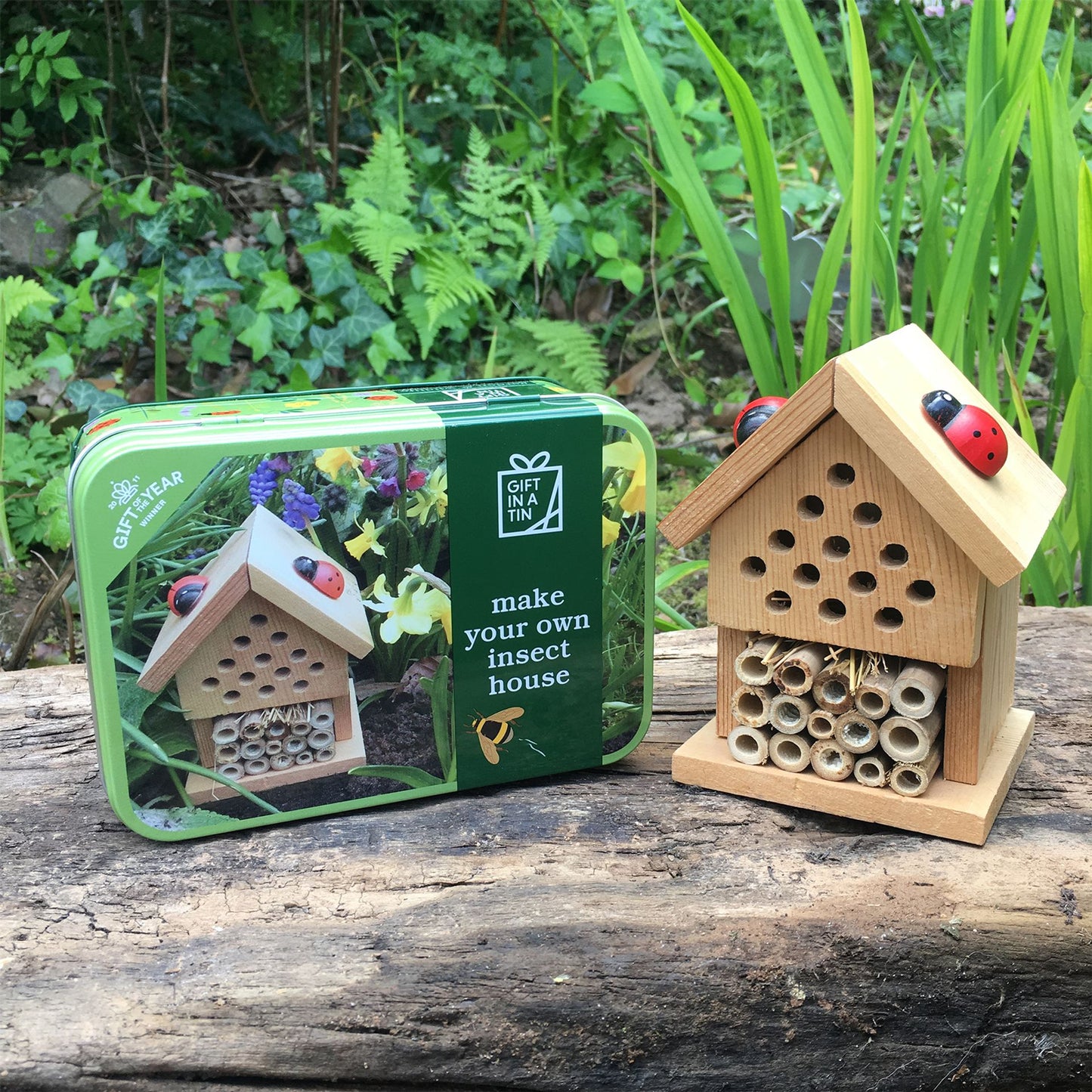 Gifts in a Tin Make your Own Insect House
