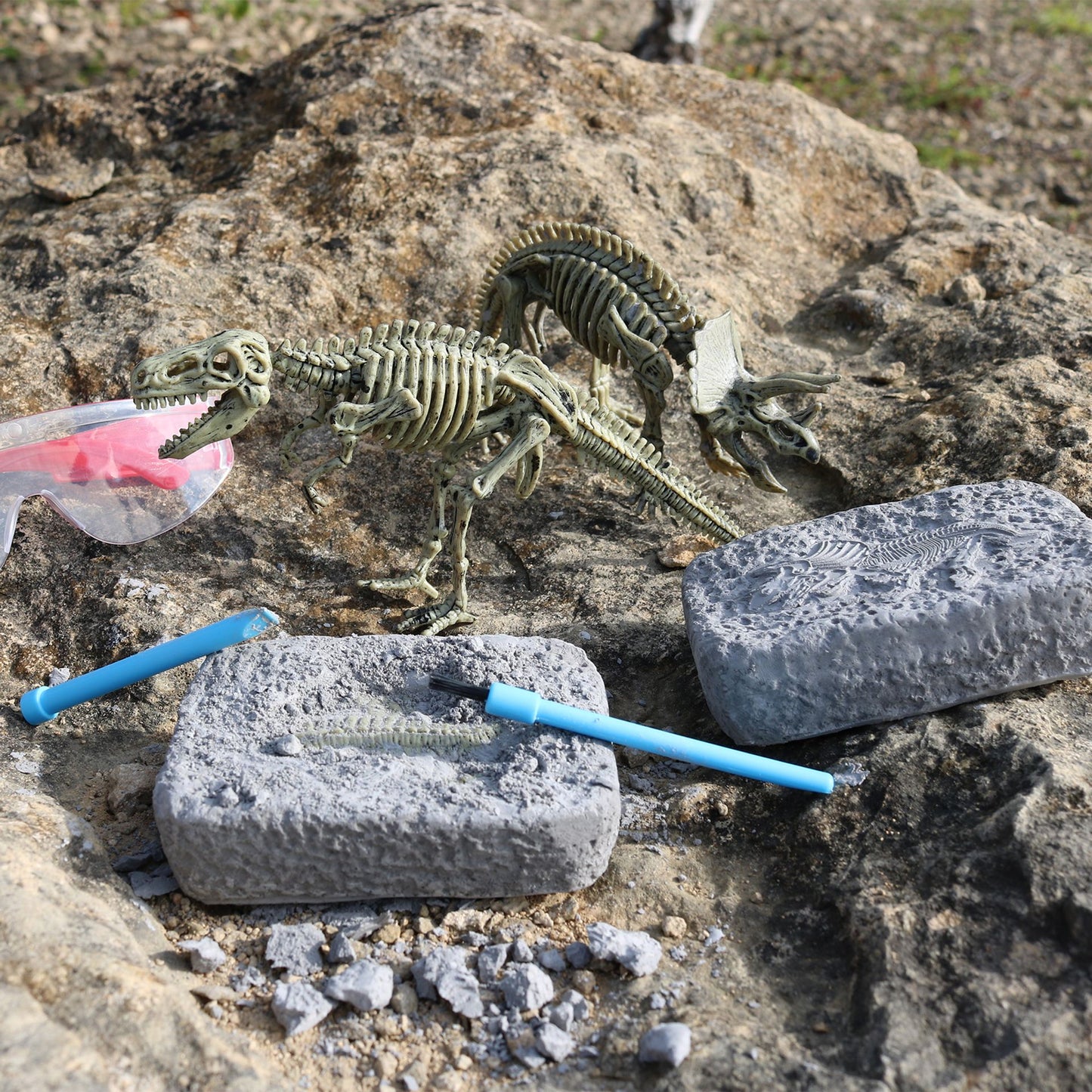 Gift In A Tin Dinosaur Excavation Kit