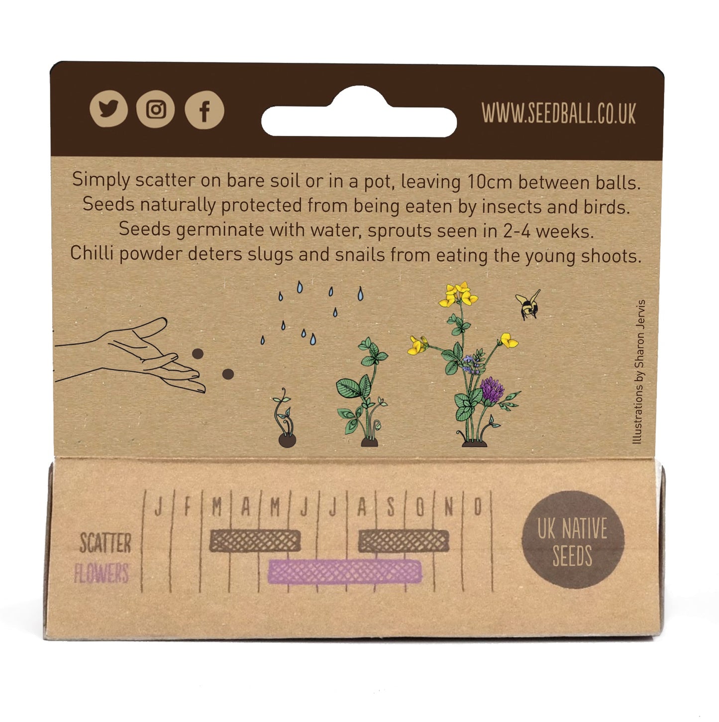 Mini-meadow Bamboo Pots Bee Mix