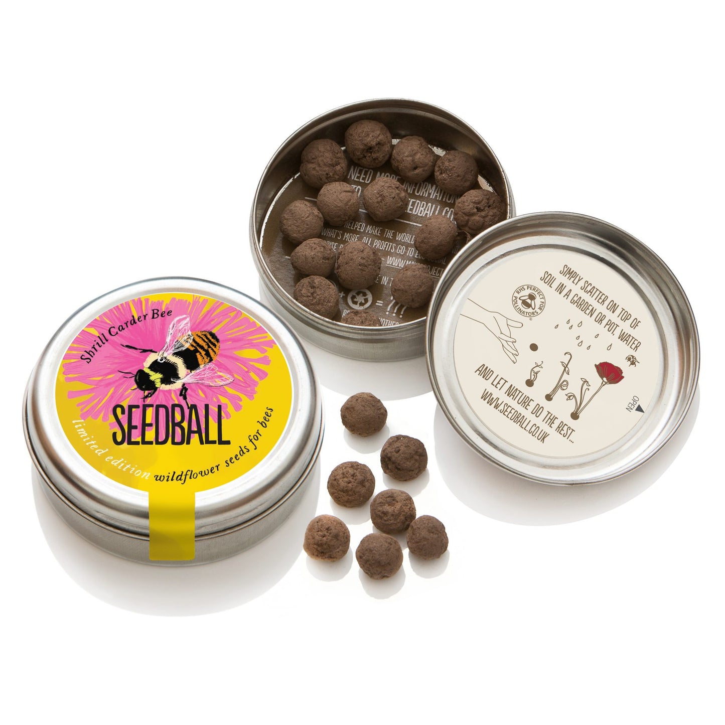 Shrill Carder Bumblebee Mix