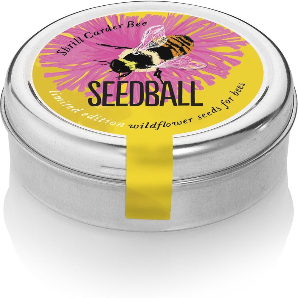 Great Yellow Bumblebee Mix