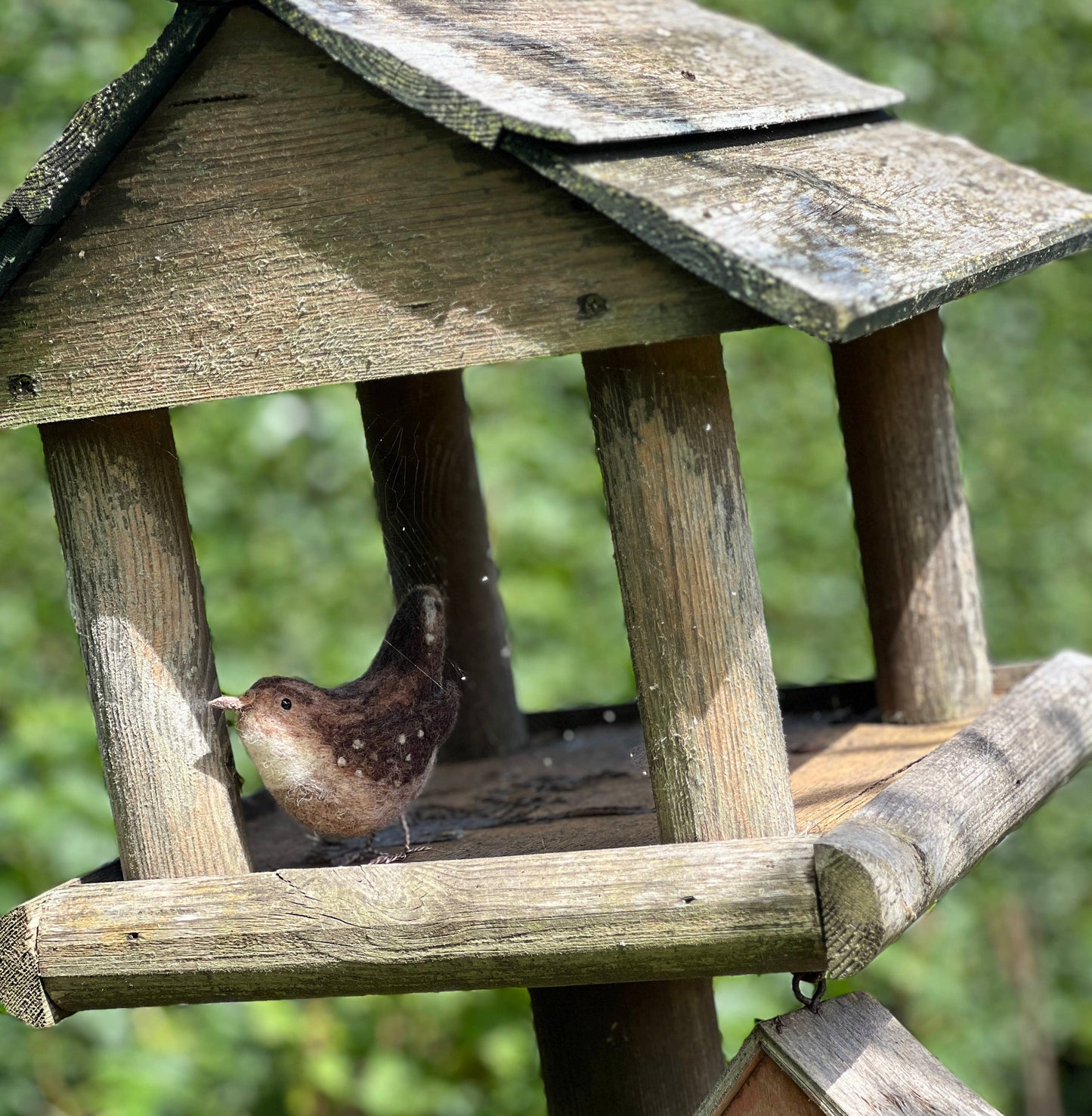 British Birds - Jenny Wren Needle Felting Craft Kit