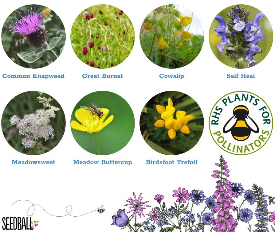 Great Yellow Bumblebee Mix