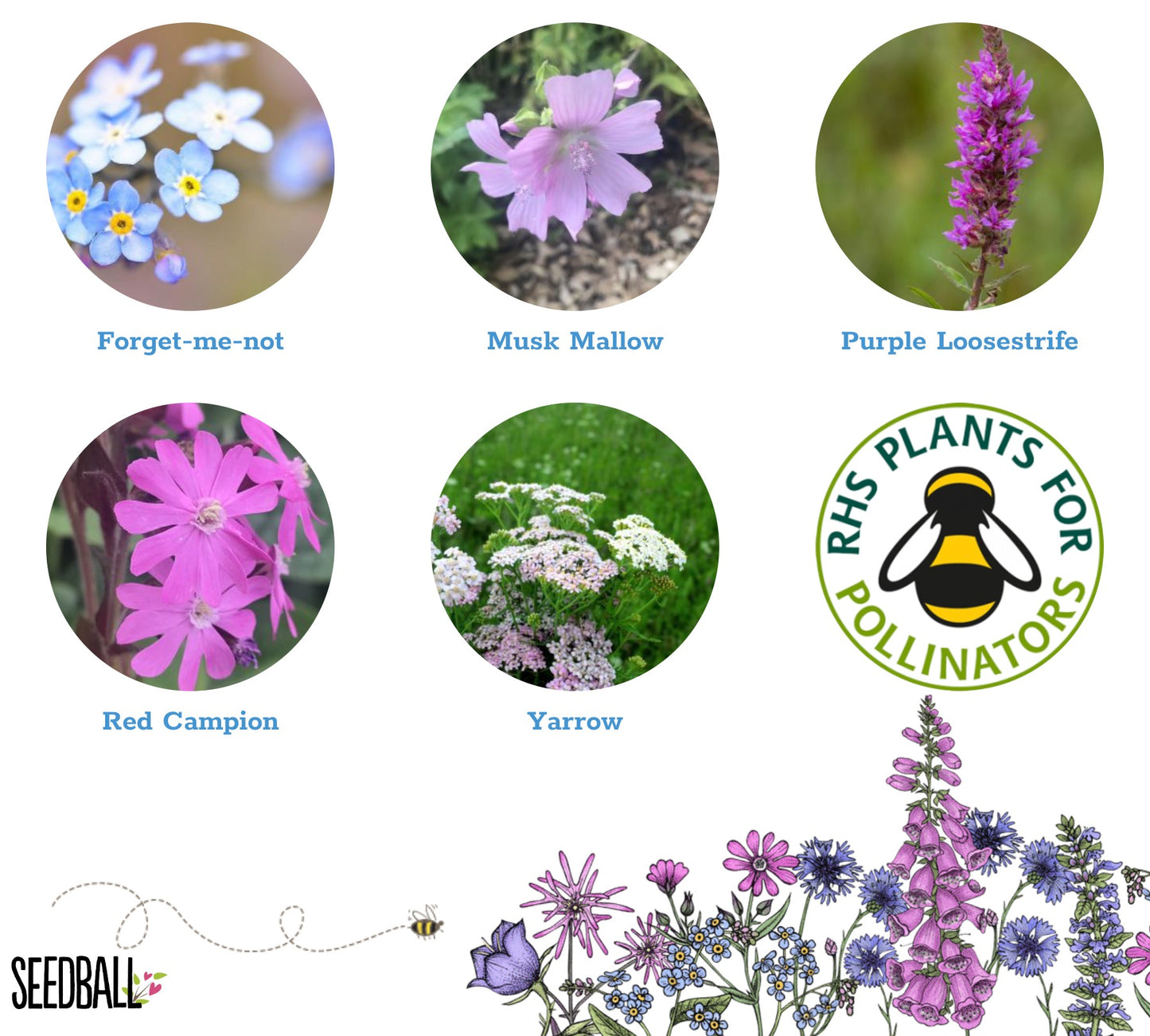 Mini-meadow Bamboo Pots Butterfly Mix