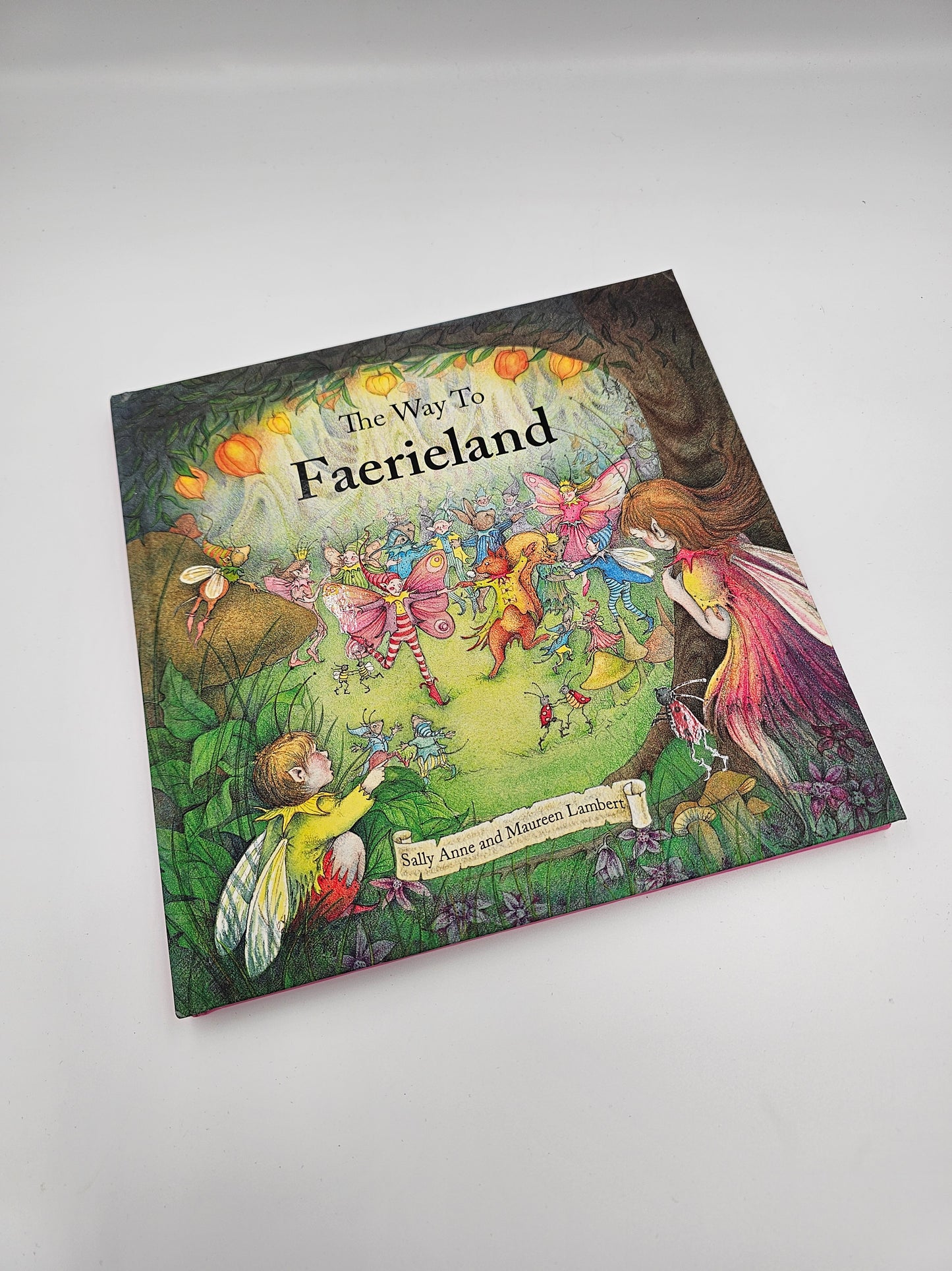 Front cover of The Way to Faerieland magical fairy tale by Maureen Lambert illustrated by Sally Anne Lambert
