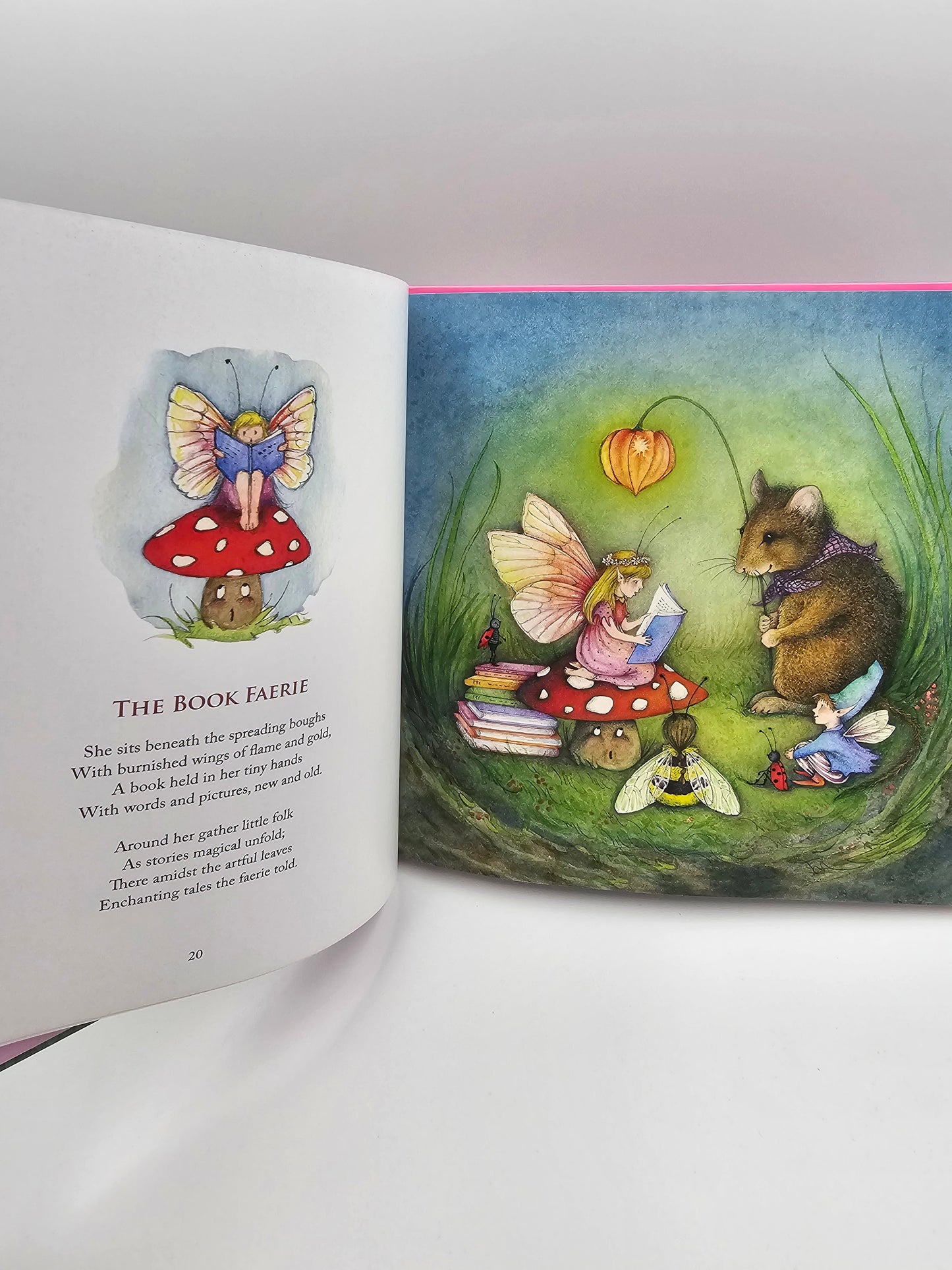 Inside page of The Way to Faerieland magical fairy tale with illustrations by Sally Anne Lambert