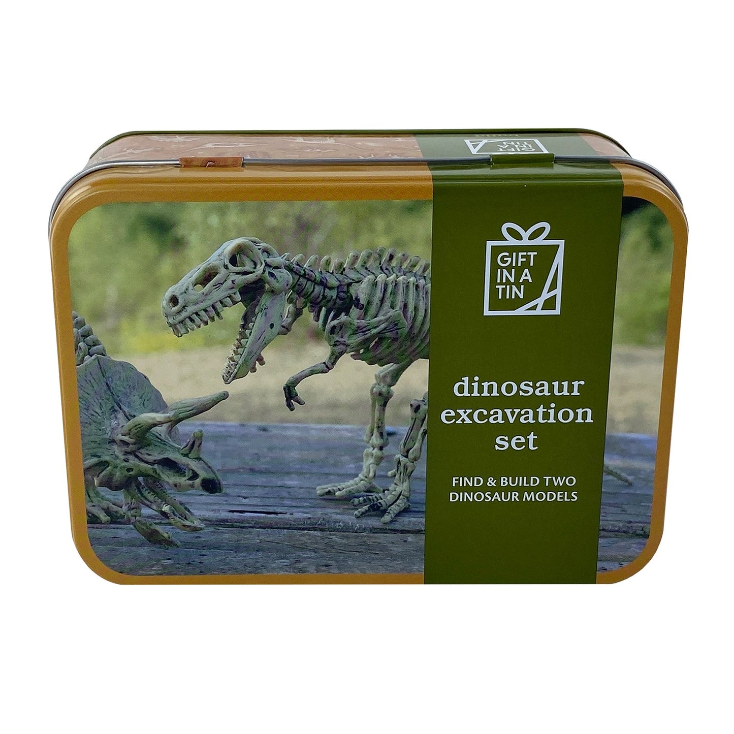 Gift In A Tin Dinosaur Excavation Kit