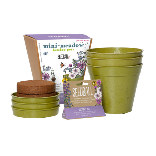 Mini-meadow Bamboo Pots Butterfly Mix