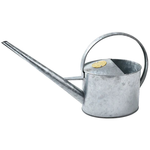 Sophie Conran Greenhouse & Indoor Watering Can - Galvanized