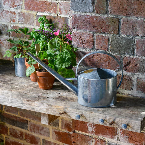 Sophie Conran Greenhouse & Indoor Watering Can - Galvanized