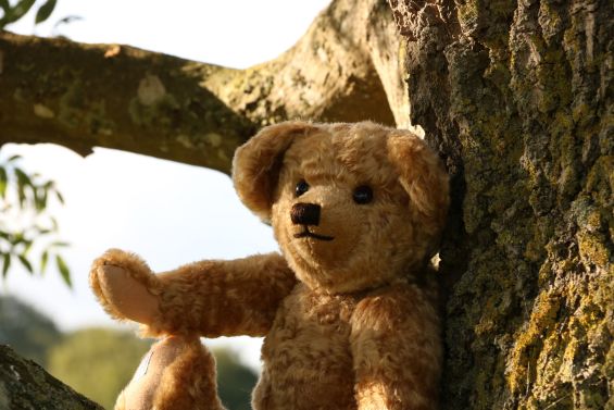 Edward: Christopher Robin's Teddy Bear
