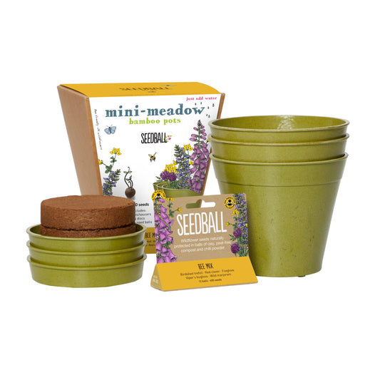 Mini-meadow Bamboo Pots Bee Mix