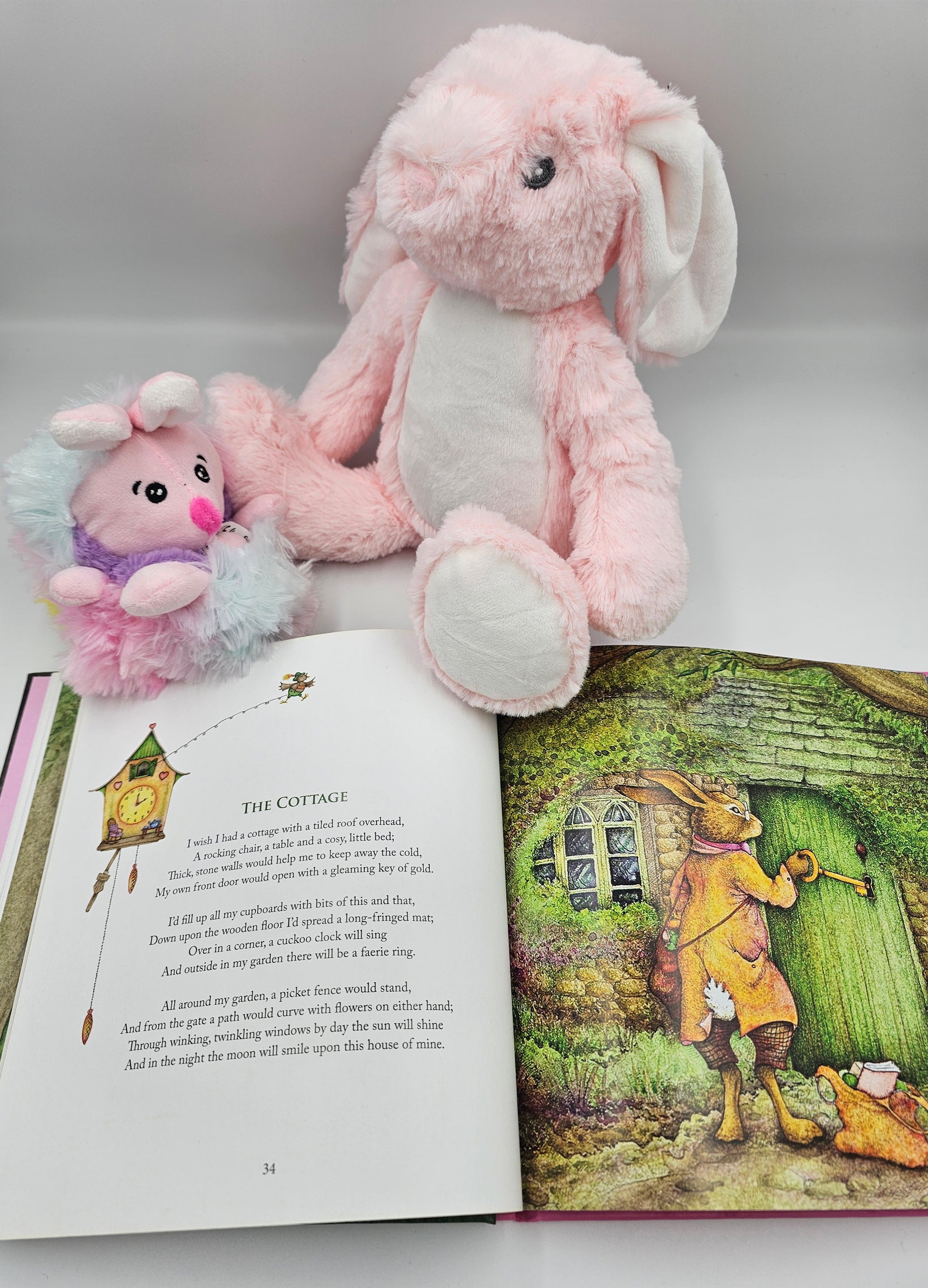 Inside illustration from The Way to Faerieland by Sally Anne Lambert magical fairy tale.